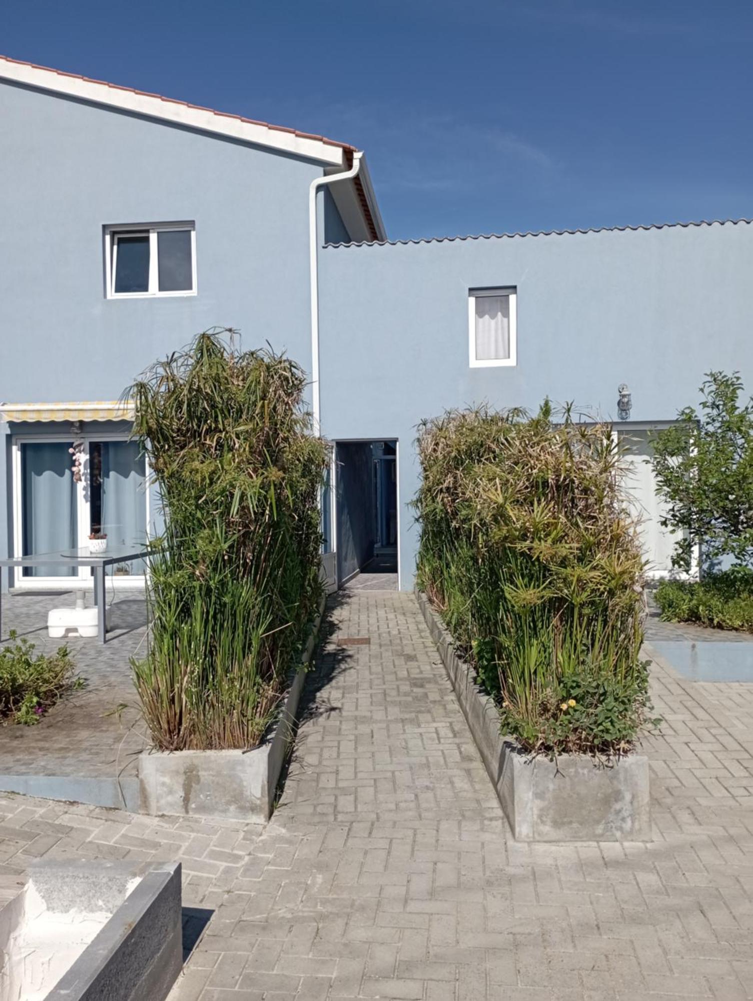 T2 Na Praia Da Costa Nova - Yellow Door Zewnętrze zdjęcie